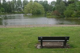 empty park bench on grass overlooking lake