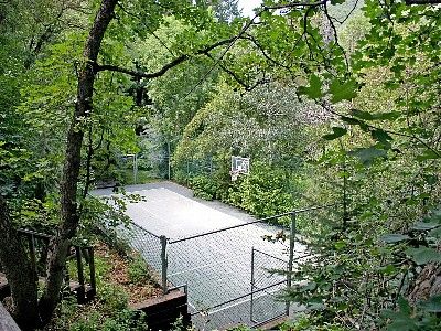tennis court surrounded by green leafy trees
