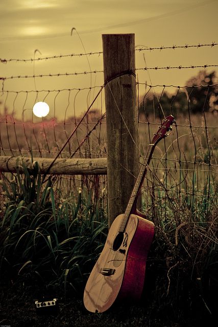 guitar and harmonica on the grass at sunset