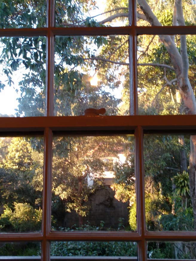 trees and house seen outside French paneled window