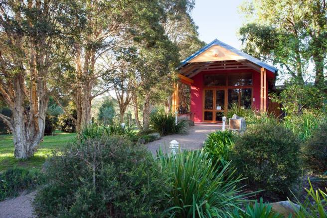 Trees and shrubs leading to glass door of Brahma Kumaris Centre