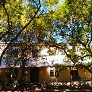 picture of the New South Wales Writers Centre with trees in foreground