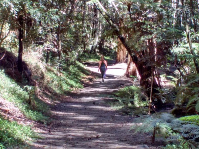 Woman walking through Cooper Park with her dog.