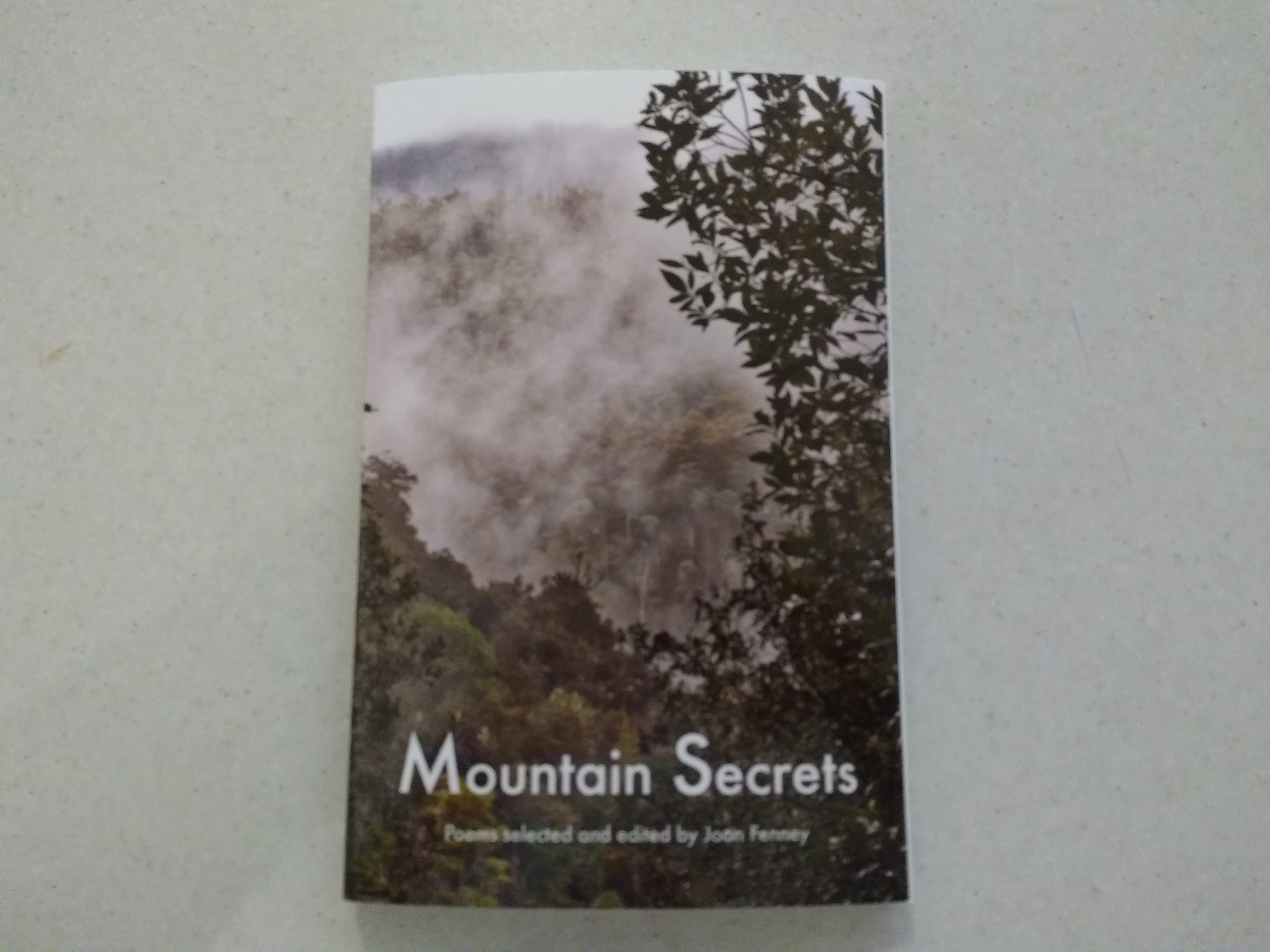 Mountain Secrets book cover